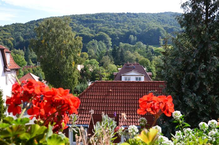 Villa Sonnenseite Jonsdorf ภายนอก รูปภาพ