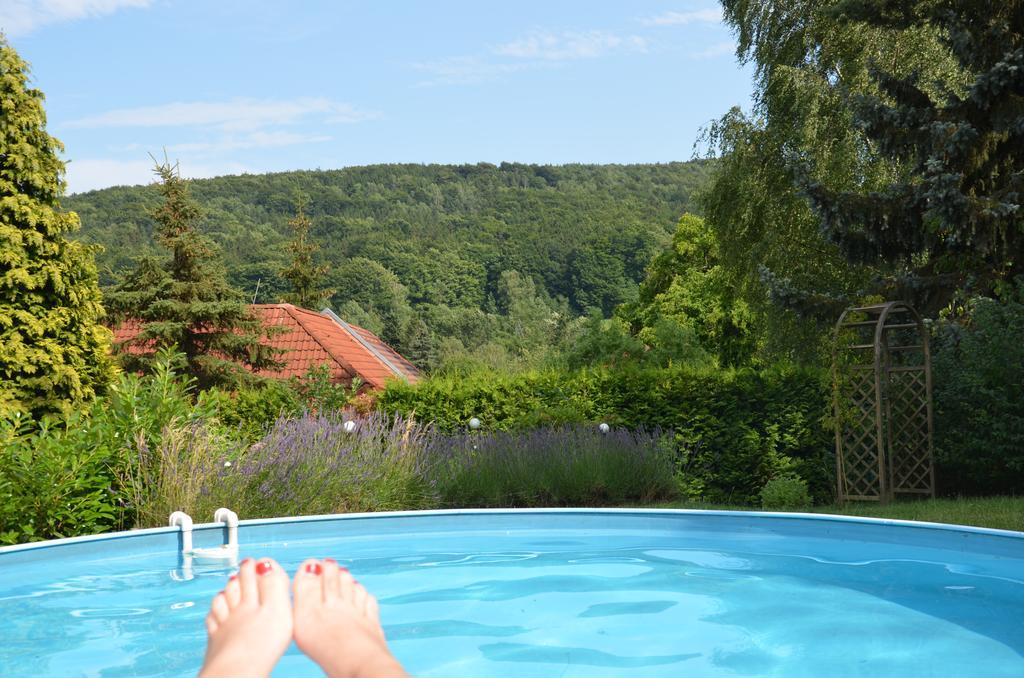 Villa Sonnenseite Jonsdorf ภายนอก รูปภาพ