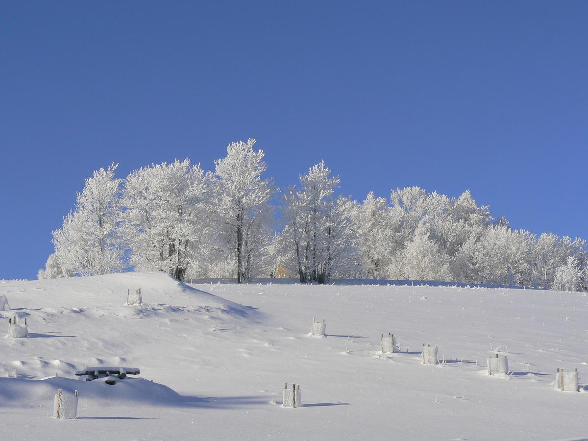 Villa Sonnenseite Jonsdorf ภายนอก รูปภาพ